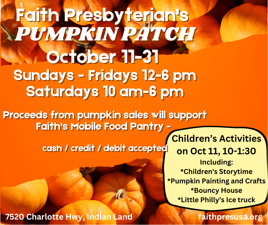Pumpkin Patch